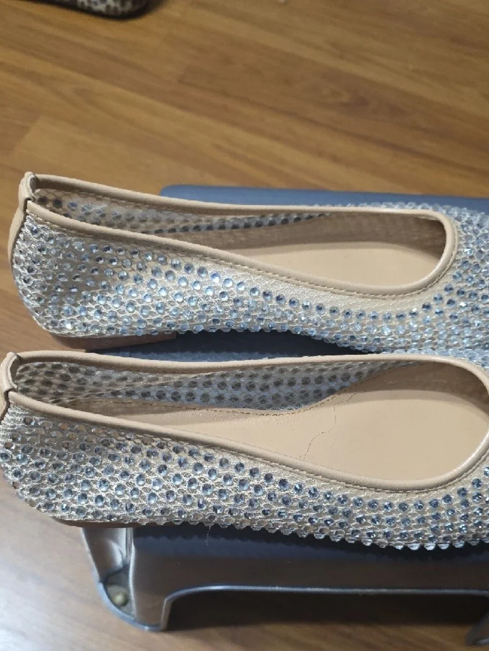 Women's Champagne Crystal-Embellished Ballet Flats - Picture 2 of 5